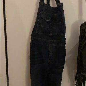 Free people overalls